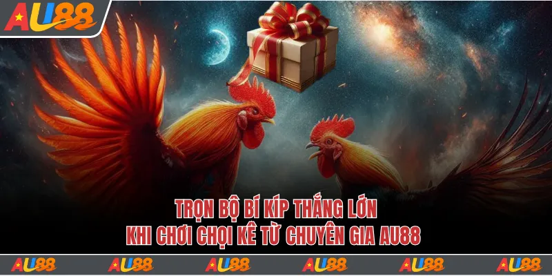 Đá Gà CQ9 - Sảnh Chơi Đá Gà Hàng Đầu Của Tay Chuyên 5 Bí kíp chọi kê thắng to từ các chuyên gia