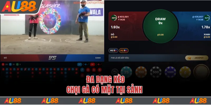 Đá Gà CQ9 - Sảnh Chơi Đá Gà Hàng Đầu Của Tay Chuyên 3 Đa dạng kèo chọi gà có mặt tại sảnh