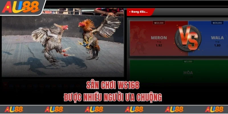Trải Nghiệm Sảnh Đá Gà Au88 Với 200+ Trận Đấu Mỗi Ngày 2 Sân chơi WS168 được nhiều người ưa chuộng