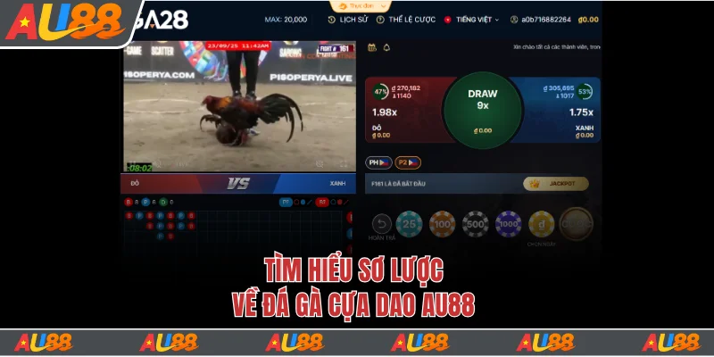 Tìm hiểu về kê trước khi quyết định cược