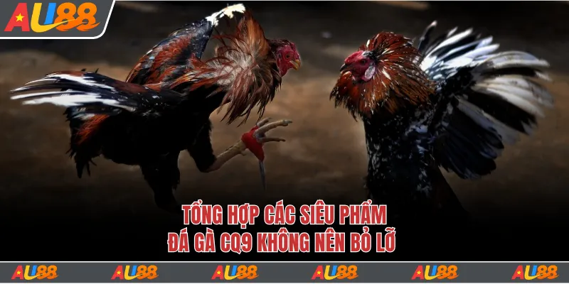 Đá Gà CQ9 - Sảnh Chơi Đá Gà Hàng Đầu Của Tay Chuyên 4 Trải nghiệm kịch tính cùng các siêu phẩm đá gà